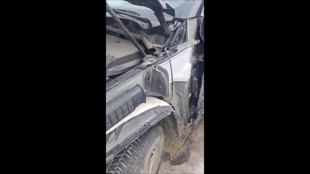 1000095040.mp4