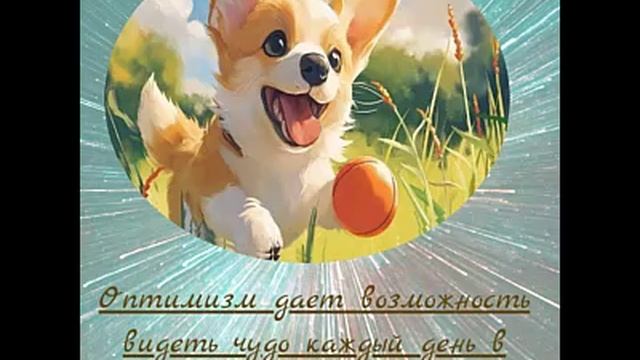 Оптимизм