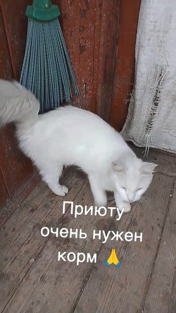 +7985 193 0027