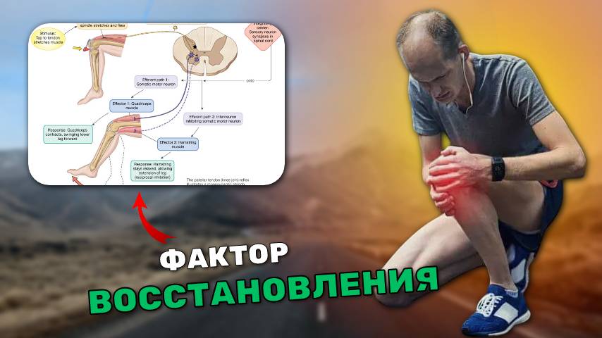 Активная мобилизация коленного и тазобедренного сустава. Начальная работа по реабилитации и ЛФК.