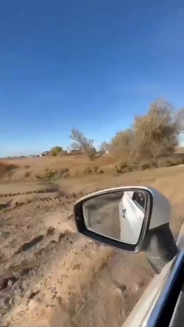 беляус 9.mp4