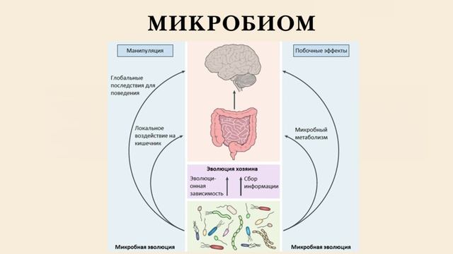 Микробиом (Мастер-класс по здоровью кишечника)