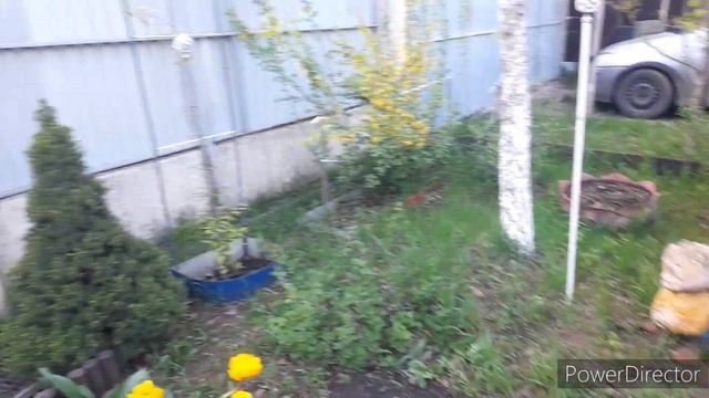 ✅️Куры несут Разноцветные Яйца/Новый Курятник//Цыплята//chicken coop