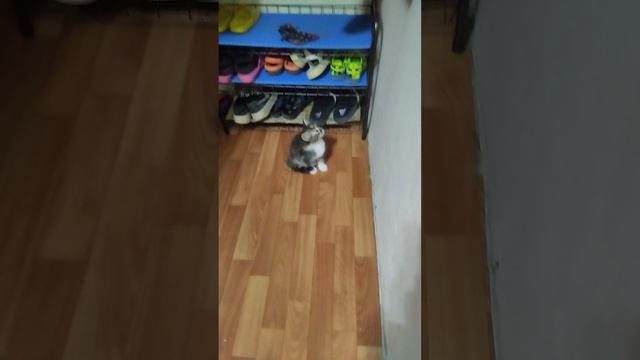 Э Ю Я