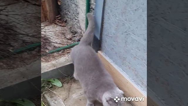 Друзья на веки, но не тронь!!