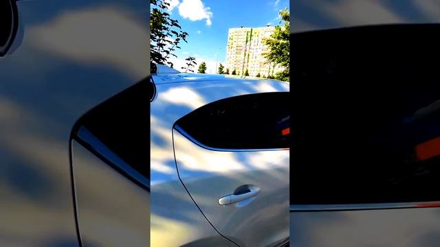 petal_20250624_171724.mp4