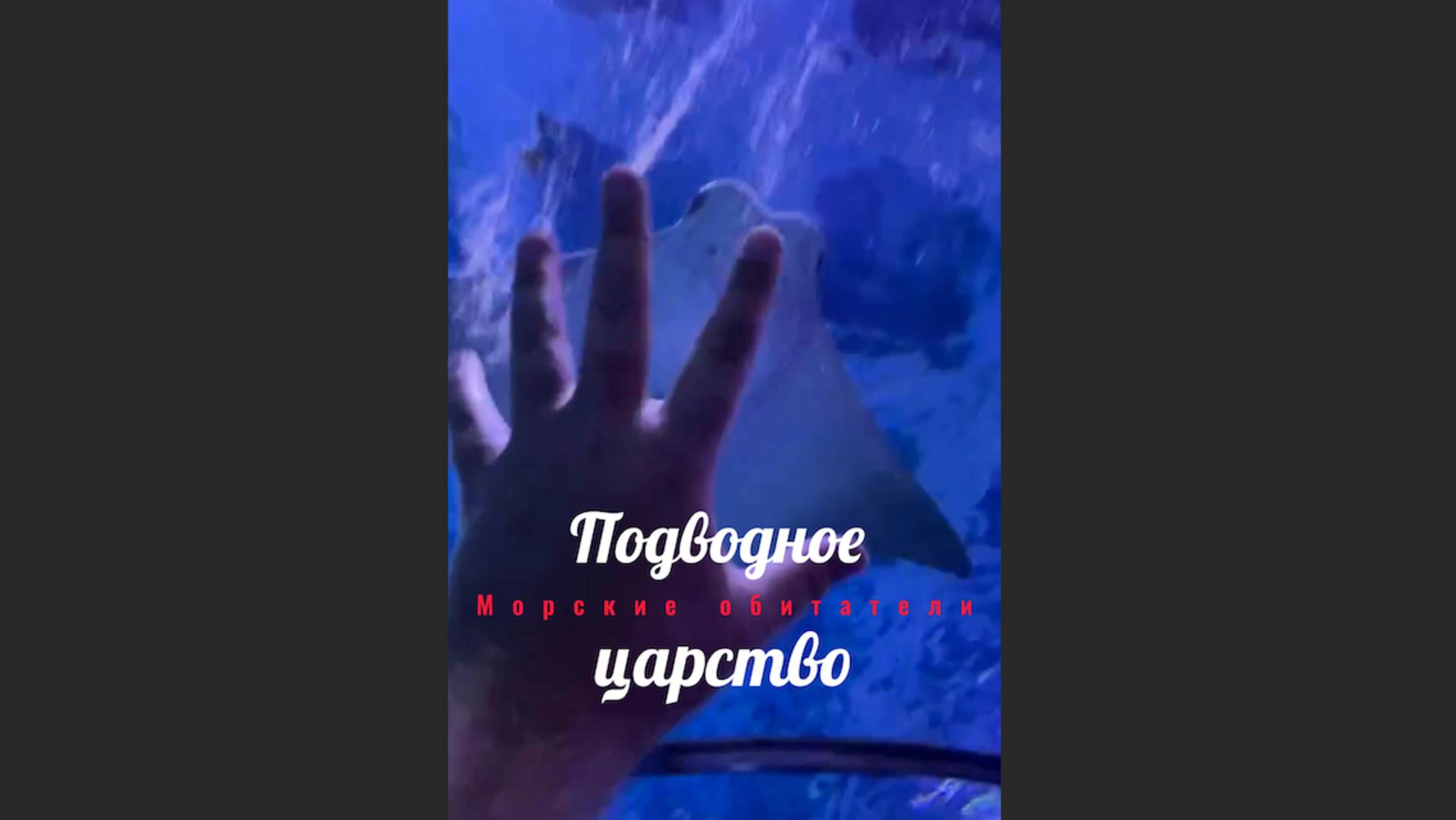 Подводное царство🧜🏻🧜🏻