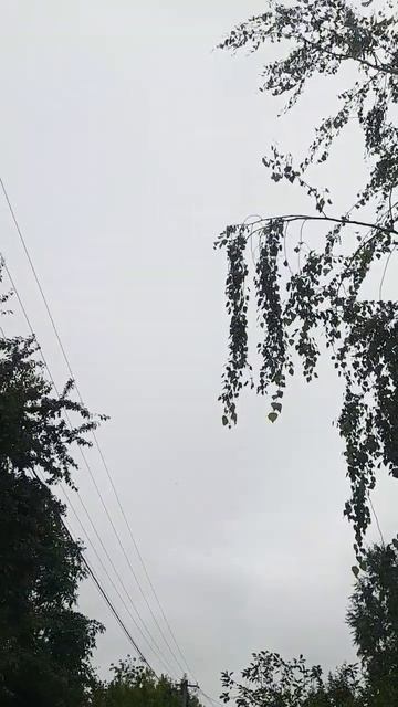 Утро всегда должно быть Добрымв любую погоду(Краснодар)