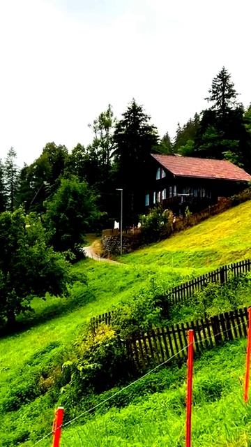 Камера засняла уникальный момент