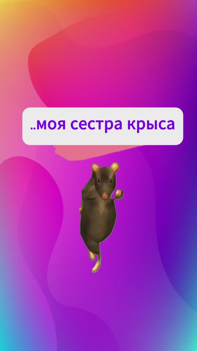 #сестра #🐁 пришла покрысить #лайф #лайфстайл #семья #приколы #юмор #почтисмешно #топчик #блогеры