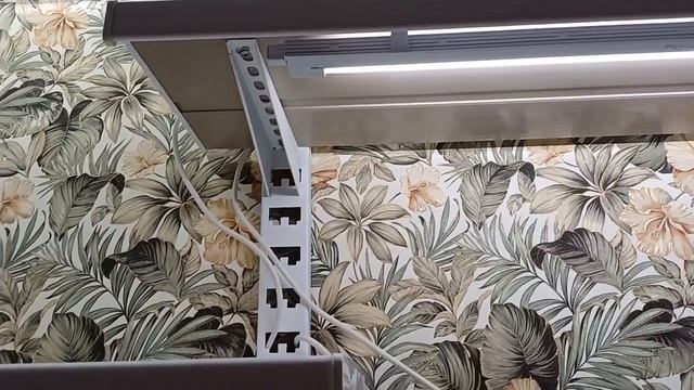 Как устроена моя основная цветочная зона🍀🌿☘️