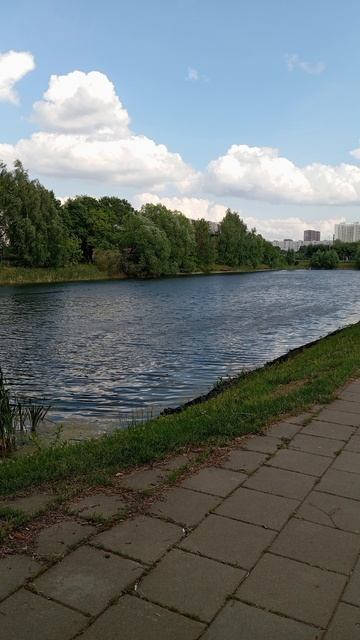 Гуляем по парку в Москве #москва #природа