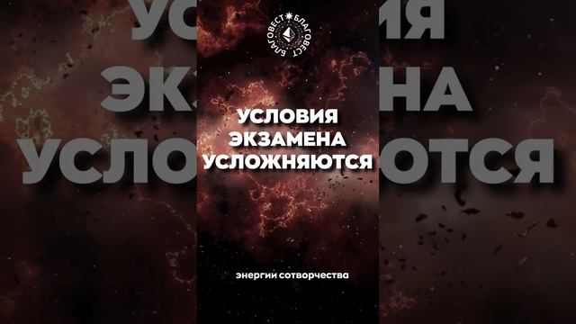 #БлагоВест ✴ УСЛОВИЯ ЭКЗАМЕНА УСЛОЖНЯЮТСЯ