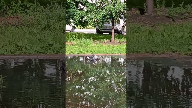 1000040462.mp4
