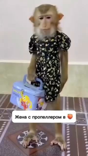 Наконец-то дождался единственный выходной