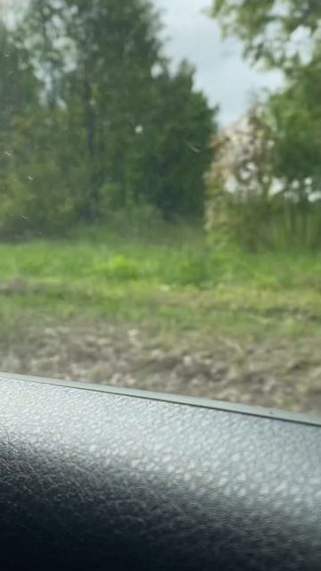 присяга 31.05.2025