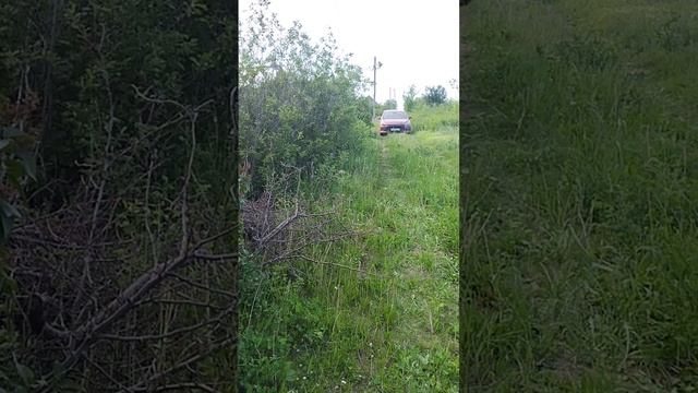 Купила дачу за 80 тысяч рублей
