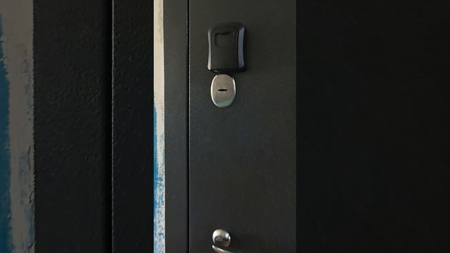 VID_20250624_141319.mp4