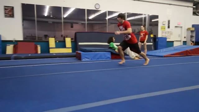 Dolphin Rebound (Wall Front to Back)   Nick Provost
