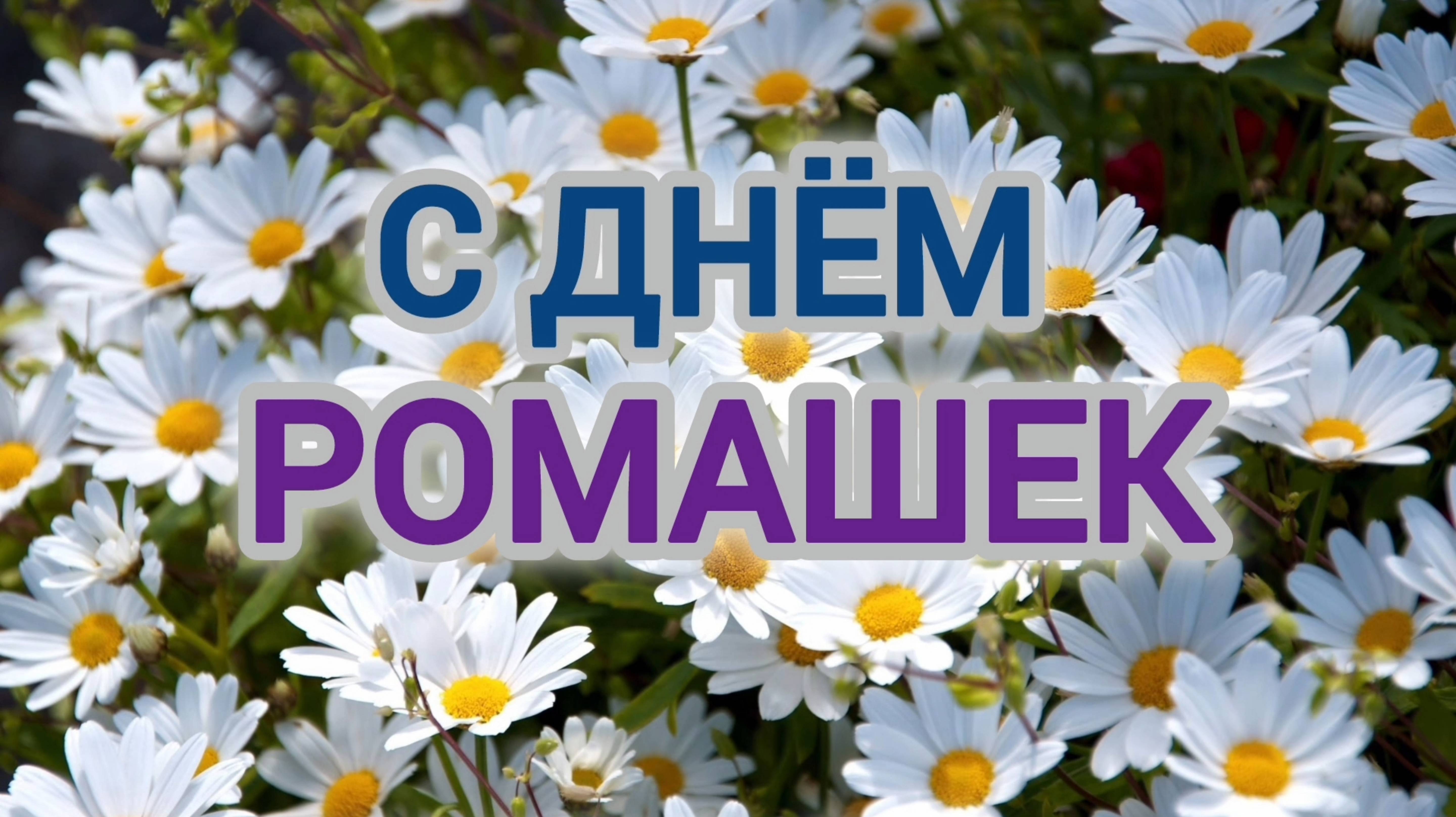 С ДНЁМ РОМАШЕК🎉🎊🎁!