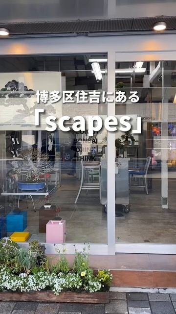 0ZsKj-bjTE4 - 抹茶好きな人には食べて欲しいスイーツ #shorts