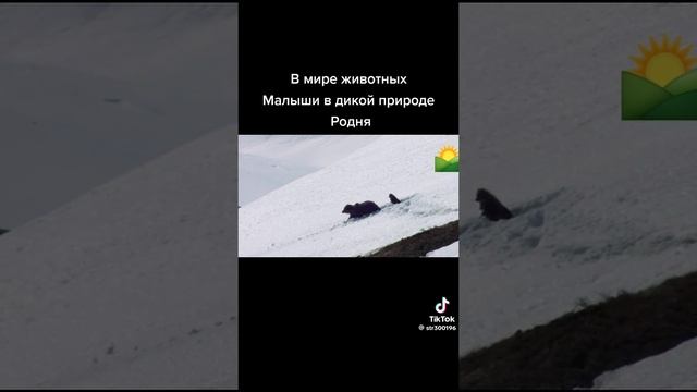 1000025154.mp4