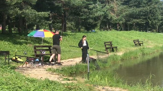 поимка карпа на большом водоёме