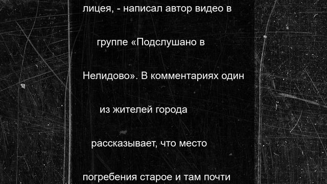В Тверской области на старом кладбище упало дерево