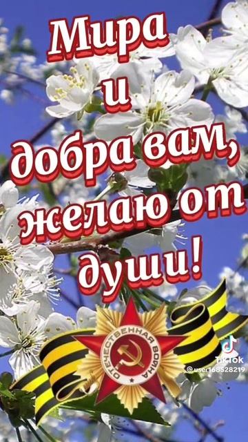 9 мая 2023 г. Помним!