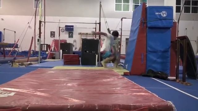 Learning Raydens - Nick Provost