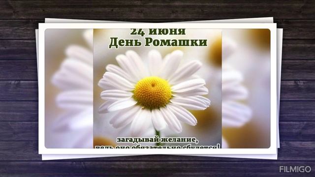 1000091661.mp4