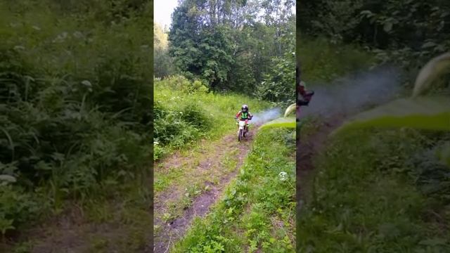 На водопой притопали