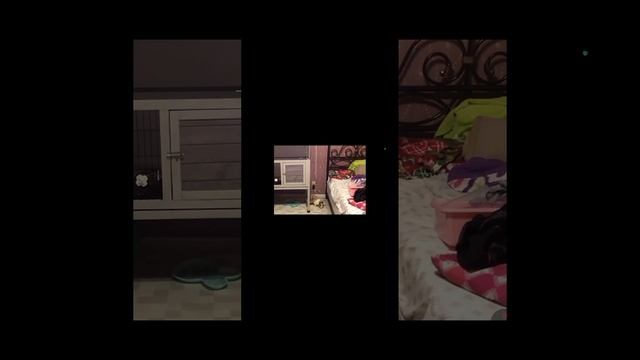 1000002743.mp4
