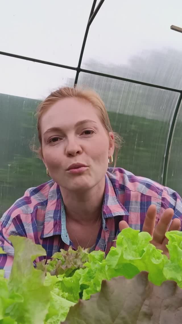 Что не поздно и даже нужно посадить в июне на грядки?