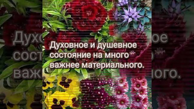 VID_20250624_052301_338.mp4