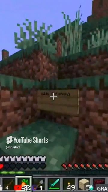 Minecraft Лучшее #1005