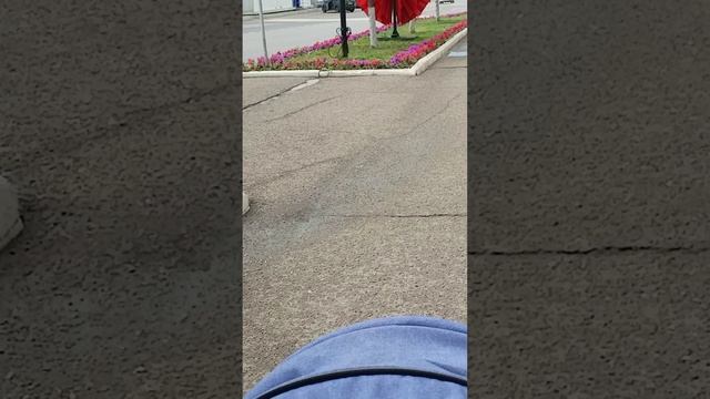 VID_20250617_151916.mp4