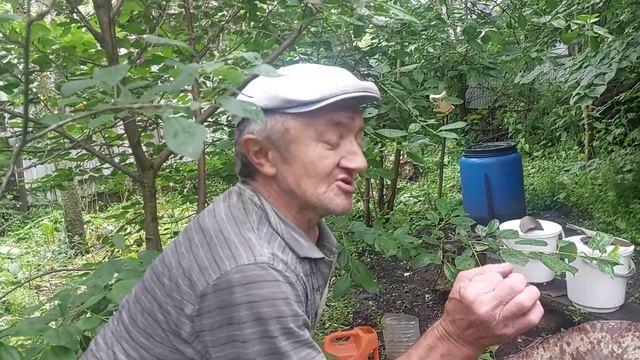 Маленький человек с большим характером.
