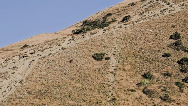 Пляж Сукко утром от Дмитрия С. 24 июня 2025 года