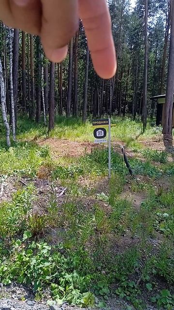 КП Заповедник, 30 соток, угловой
