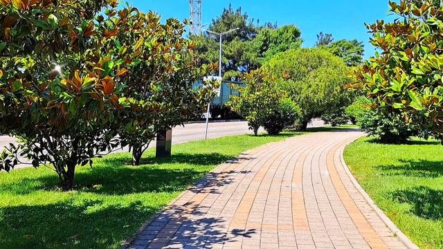 Туапсе 19.06.25г. Краснодарский край🥰