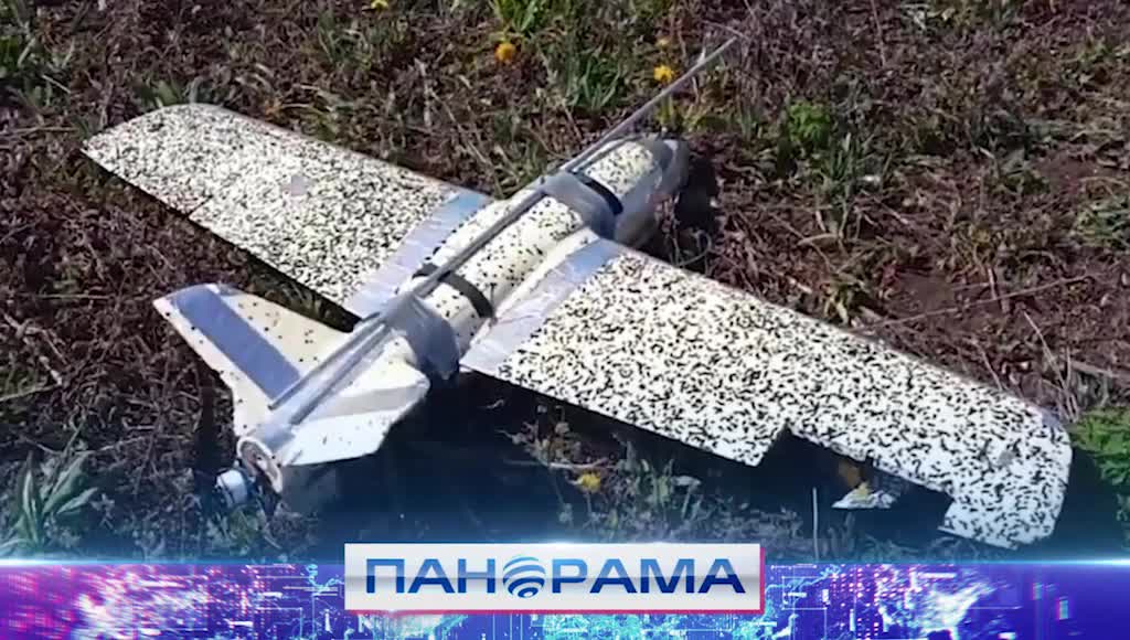 ⚡️ Фальшдроны, ударники и провал: «Купол Донбасса» сбил 590 вражеских дронов