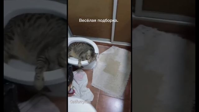 1000007462.mp4