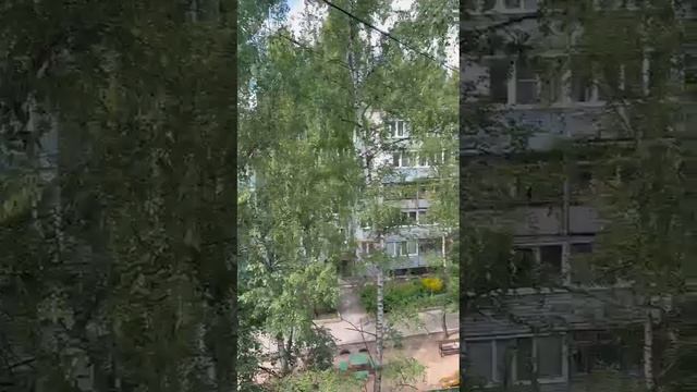 1000166668.mp4