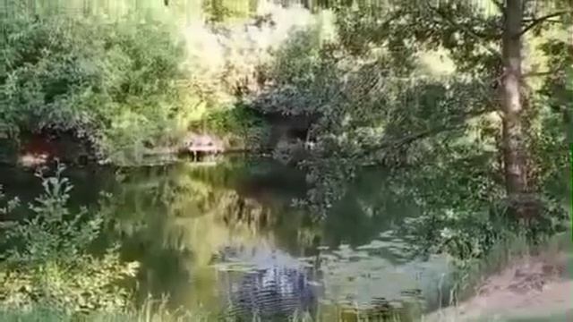 Interesting video, 2025