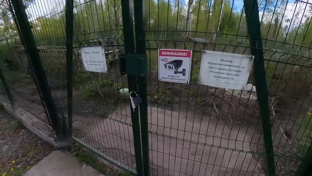 Новости из Мансуркиного царства     New's from Mansur's Kingdom
