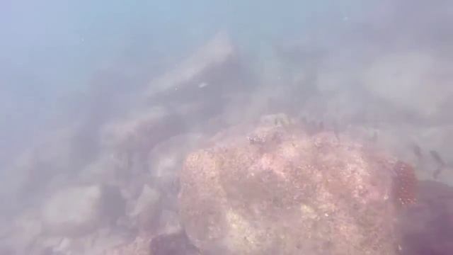 Сноркелинг на Пхукуте пляж Ката.