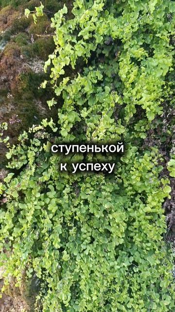 мудрость жизни для жизни #мудрость #мотивация #мысли #идеи #счастье #жизнь #личность #коучинг #мир