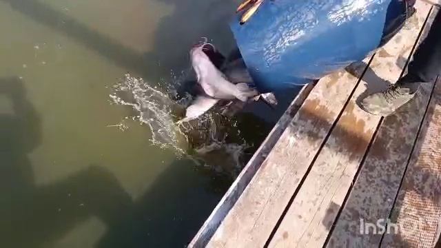 1000090774.mp4