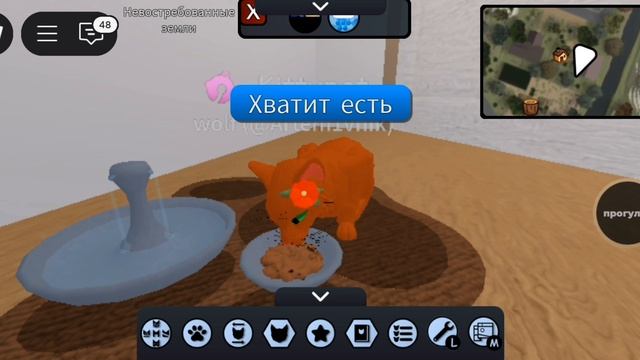история Кота часть 1 дом